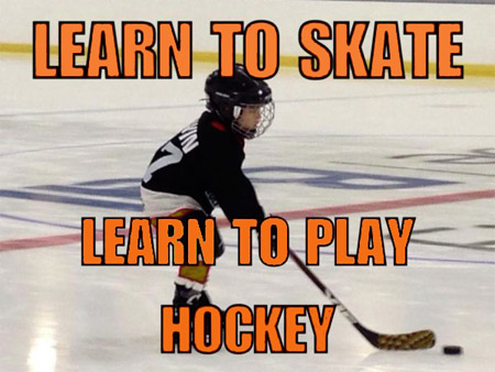 Learn to Skate Program